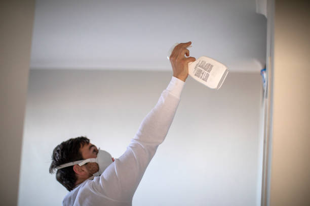Best Certified Mold Removal  in Louisville, TN