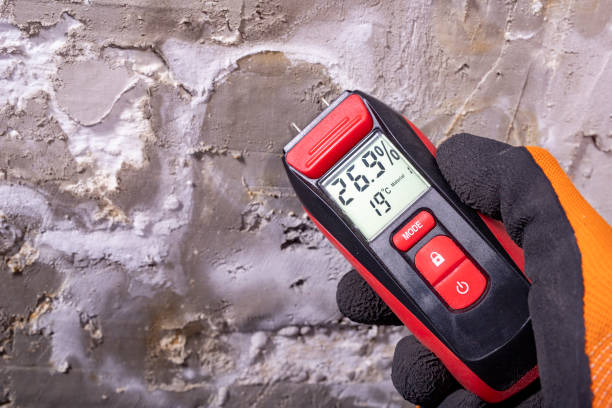 Best Mold Testing  in Louisville, TN
